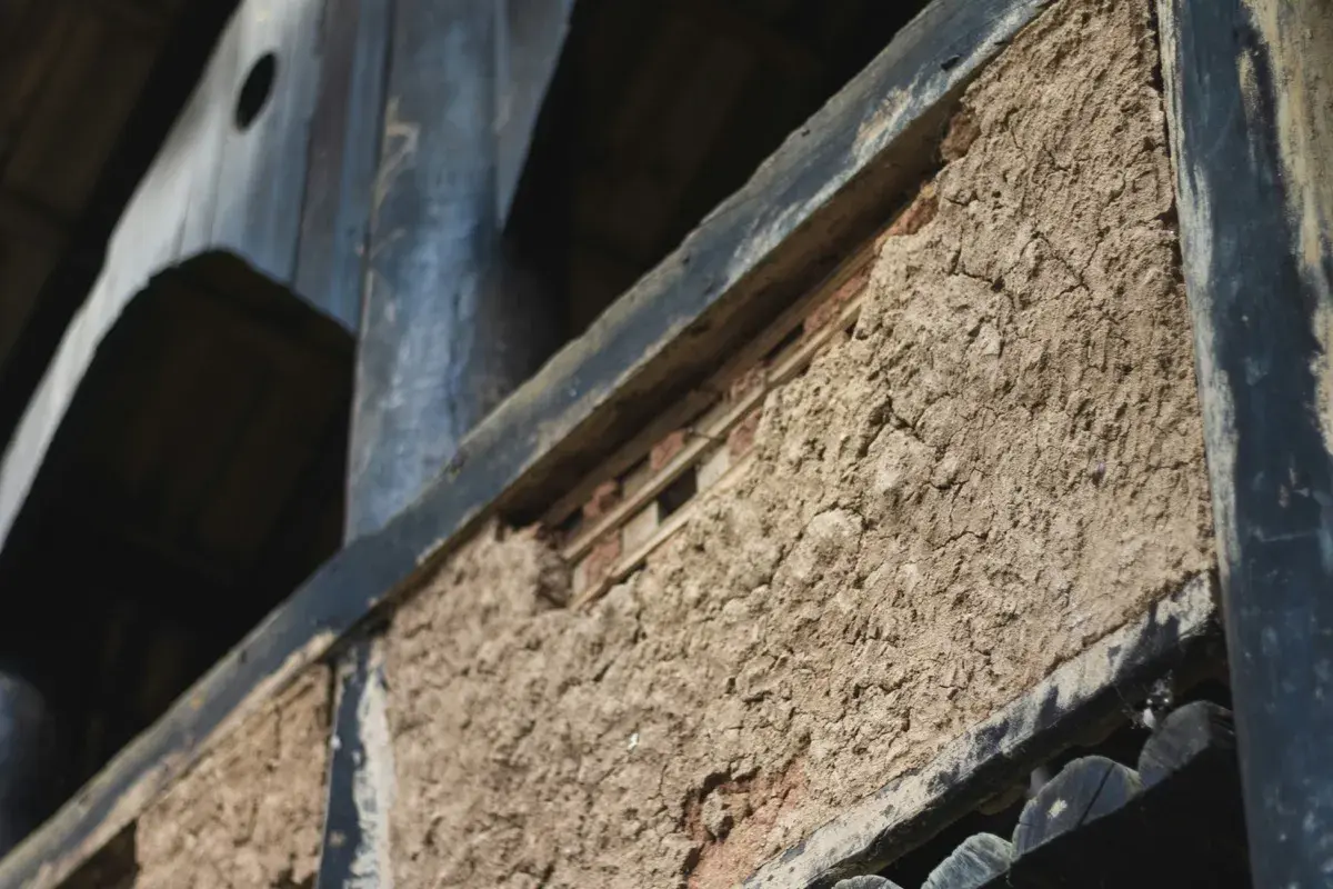 Fibre de bois