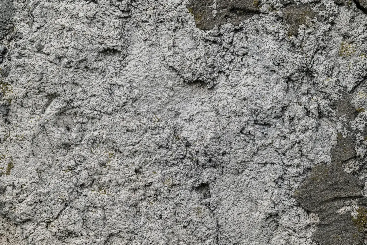 Ouate de cellulose